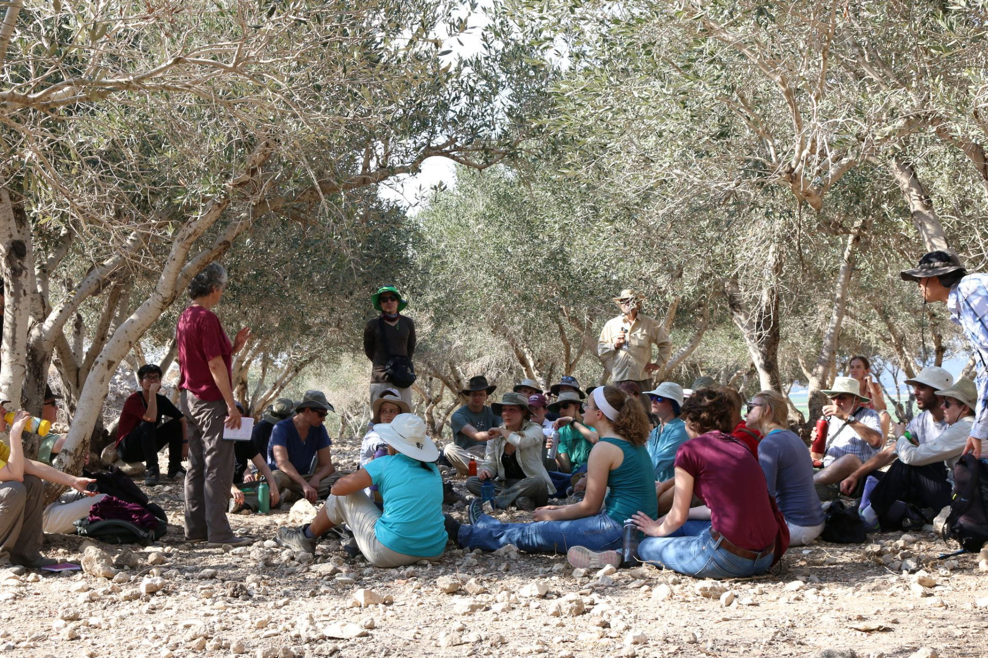 Orientation in the olive grove with field director Liz Bloch-Smith